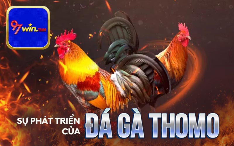 Đá gà Thomo